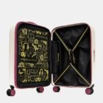 LOGODUCK+ Expandable cabin trolley