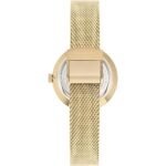 Darbey Gold Watch