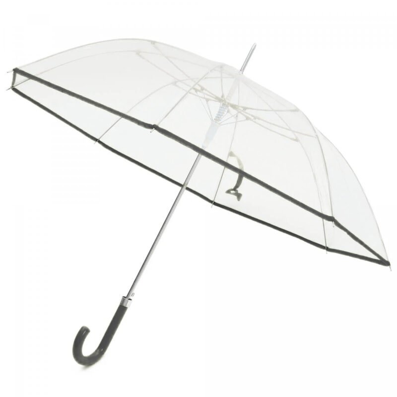 Transparent Umbrella