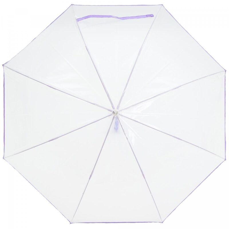 Transparent Umbrella