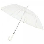 Transparent Umbrella