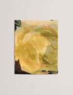 LILAZ Floral Printed Scarf